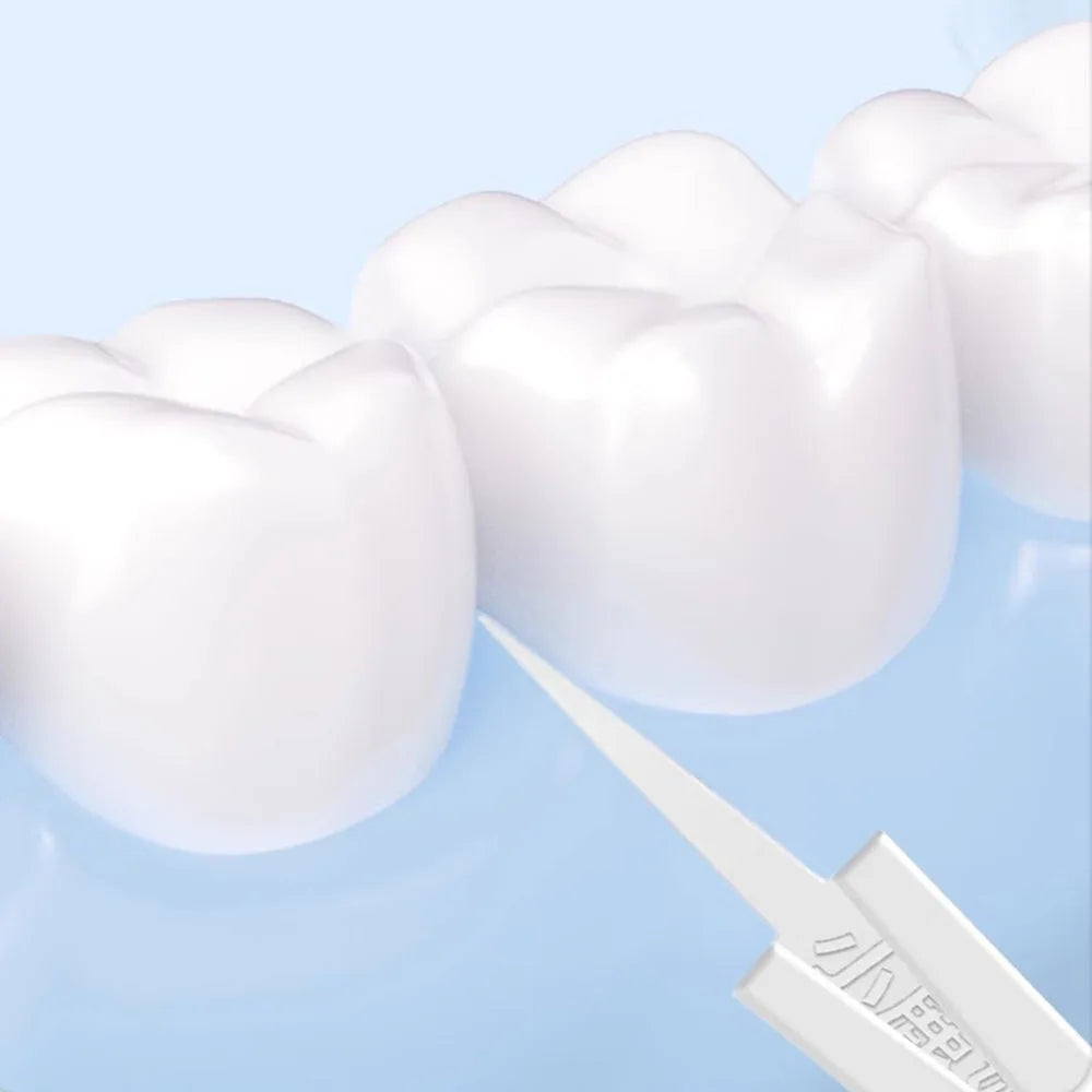 PureDent Dual Flosser